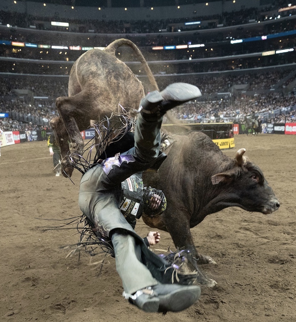 26 People Who Probably Regret Becoming Bullfighters