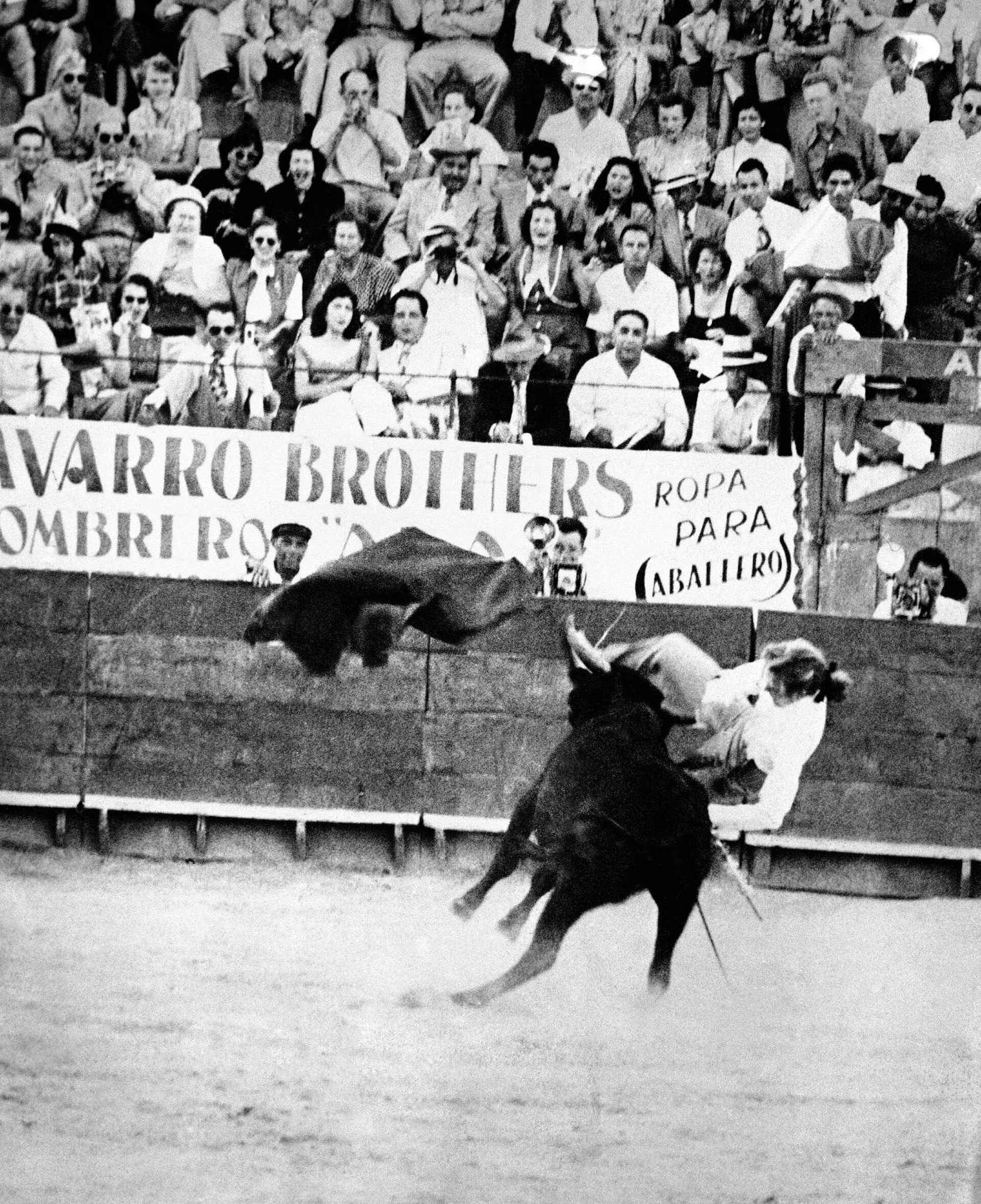 26 People Who Probably Regret Becoming Bullfighters