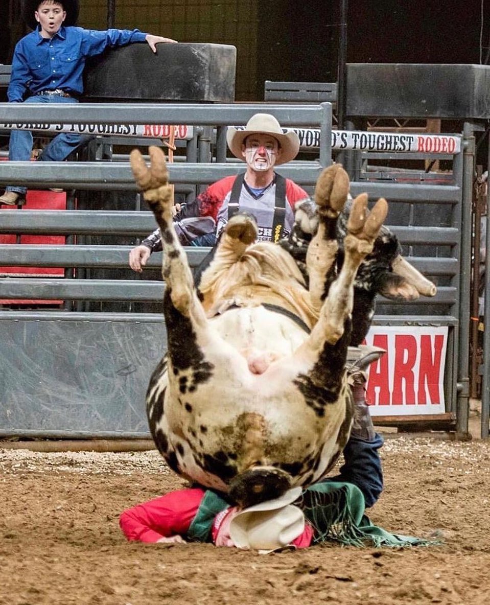 26 People Who Probably Regret Becoming Bullfighters