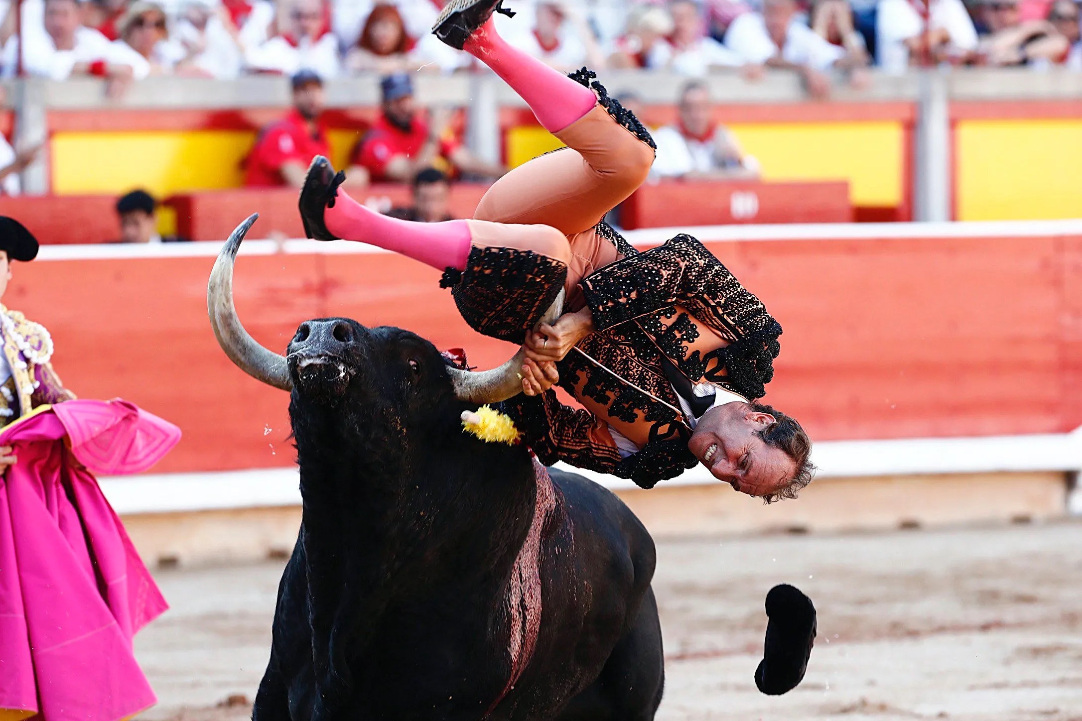 26 People Who Probably Regret Becoming Bullfighters