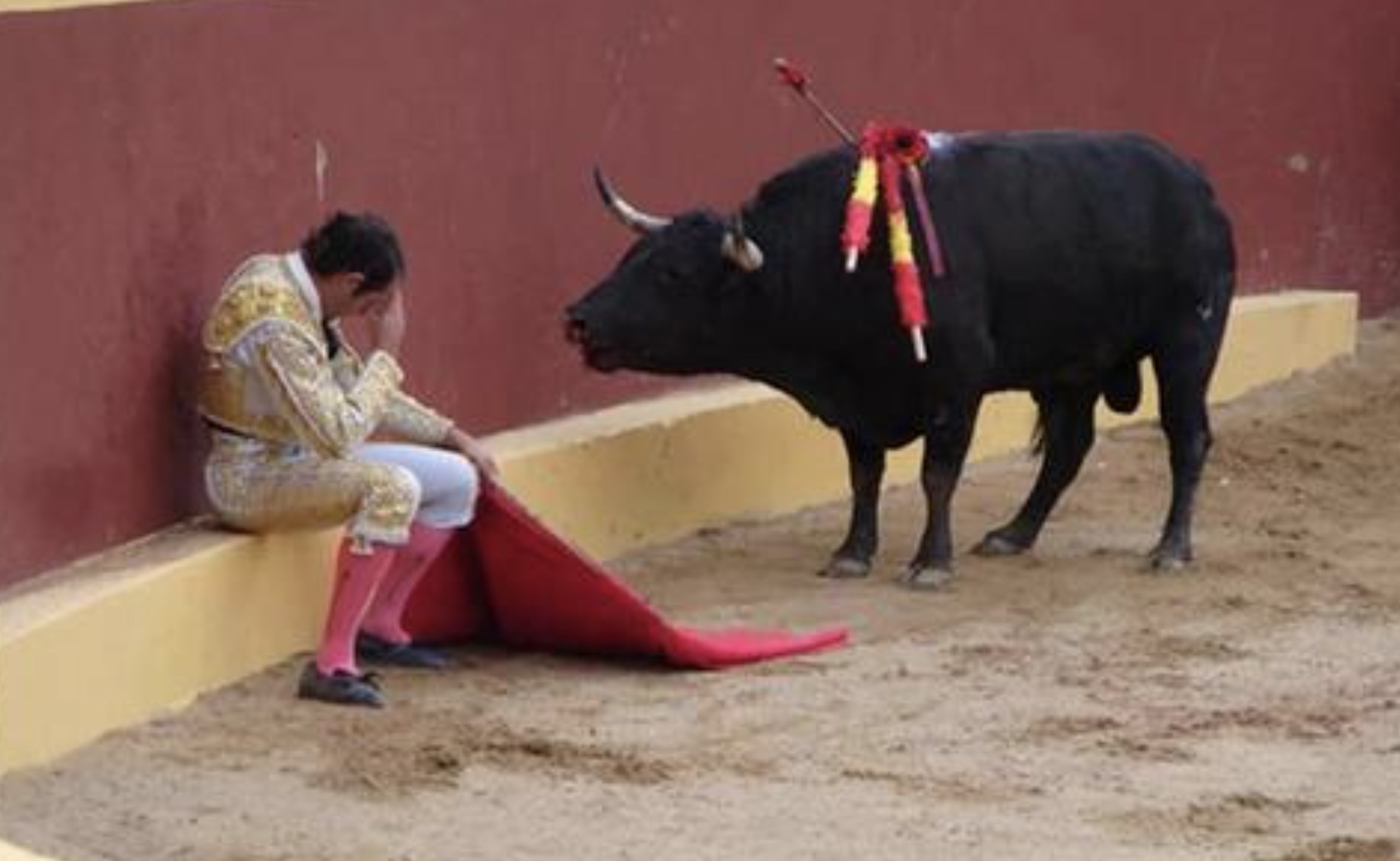 26 People Who Probably Regret Becoming Bullfighters