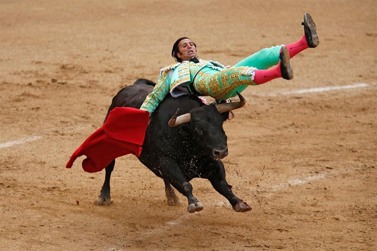 26 People Who Probably Regret Becoming Bullfighters