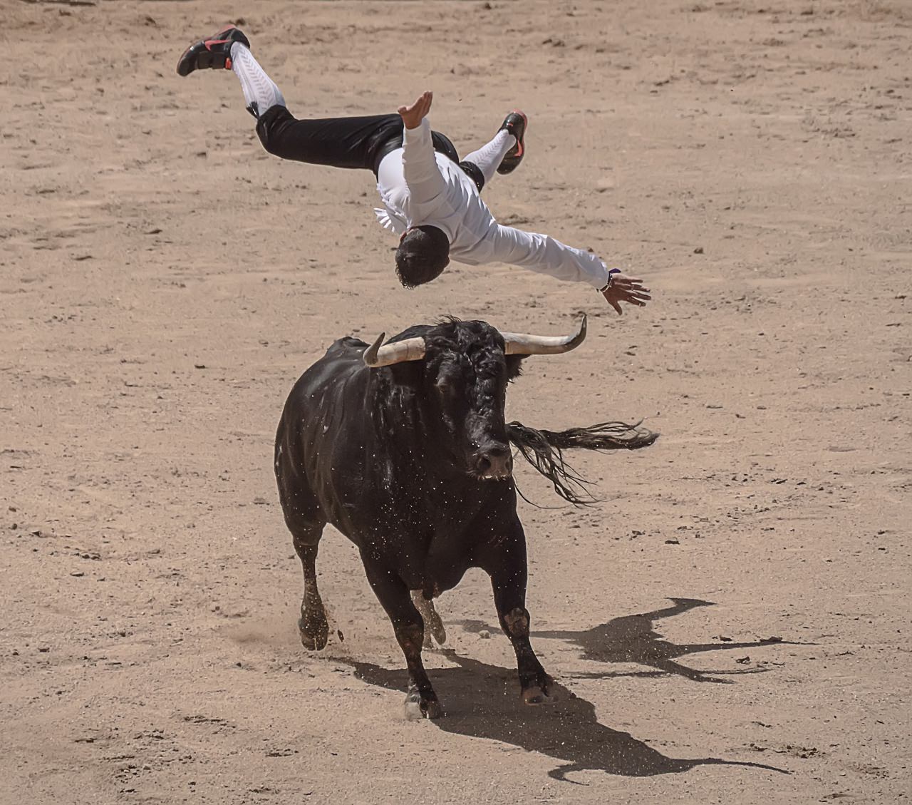 26 People Who Probably Regret Becoming Bullfighters