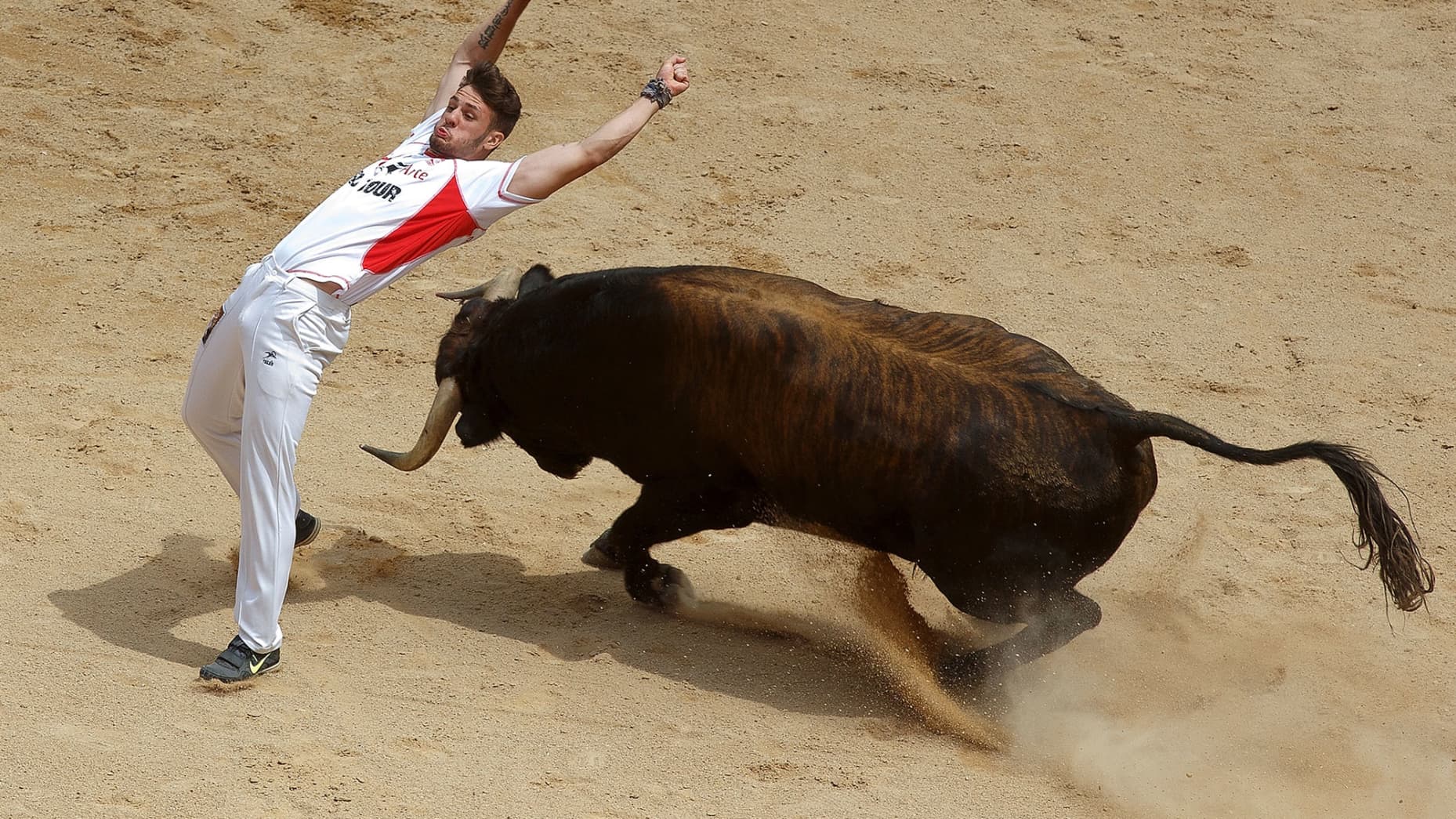 26 People Who Probably Regret Becoming Bullfighters