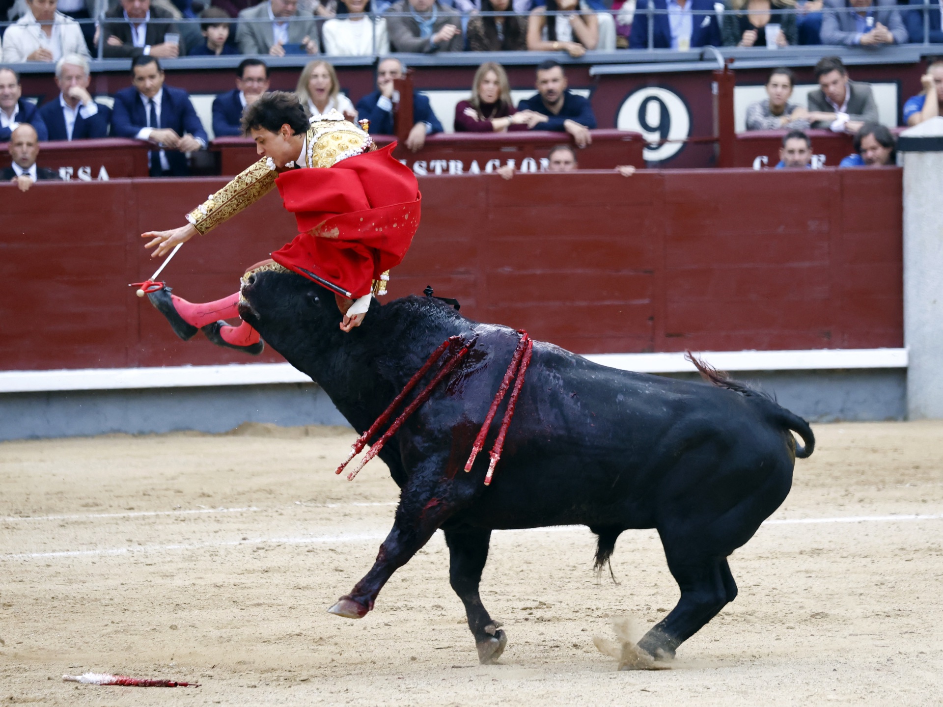 26 People Who Probably Regret Becoming Bullfighters