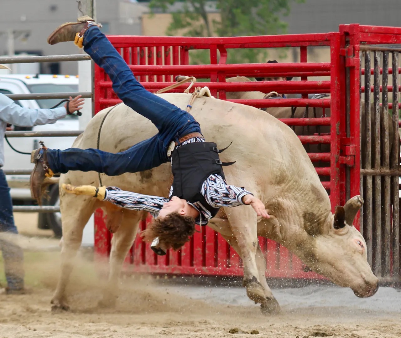 26 People Who Probably Regret Becoming Bullfighters