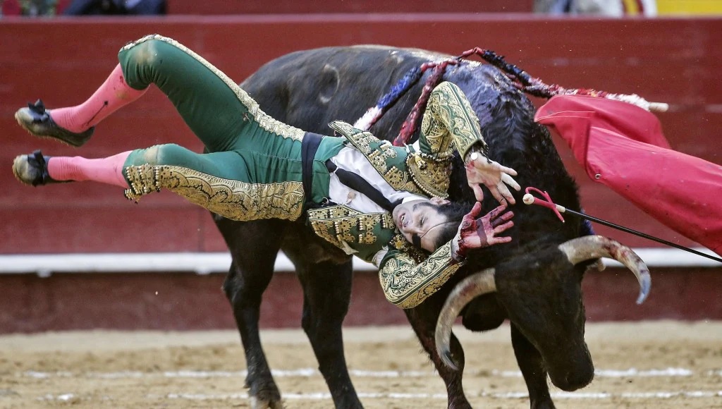 26 People Who Probably Regret Becoming Bullfighters