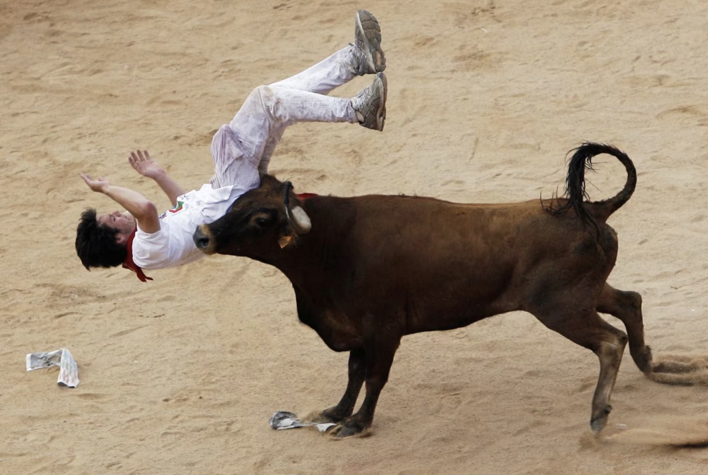 26 People Who Probably Regret Becoming Bullfighters