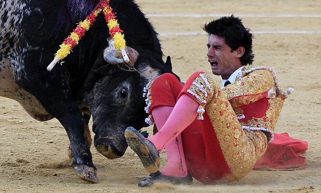 26 People Who Probably Regret Becoming Bullfighters