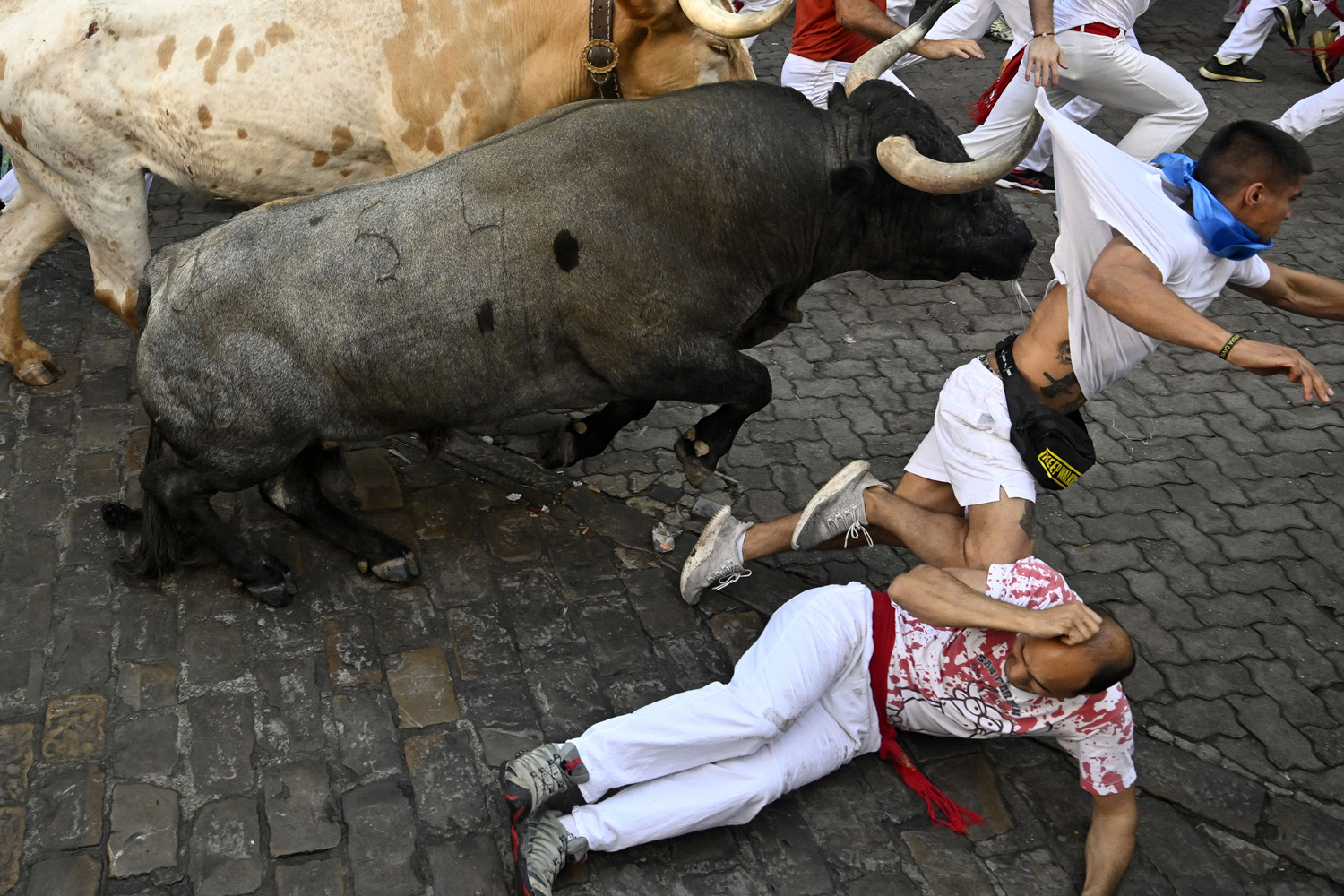 26 People Who Probably Regret Becoming Bullfighters