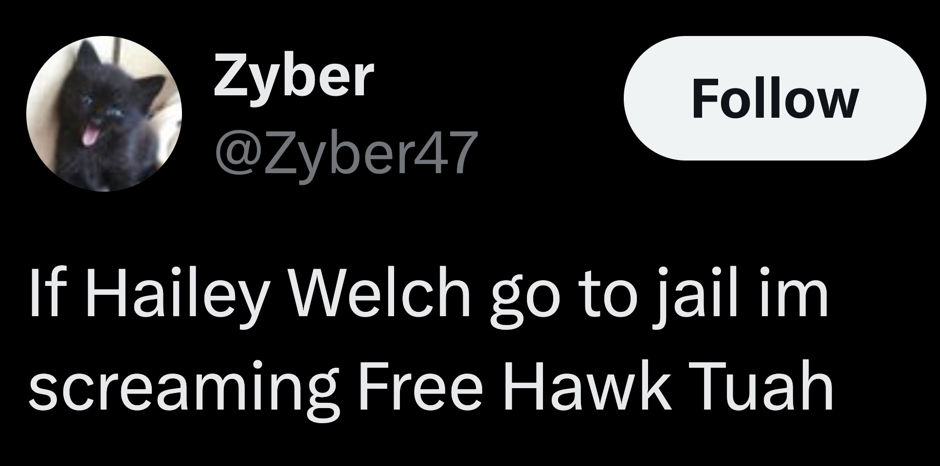 photo caption - Zyber If Hailey Welch go to jail im screaming Free Hawk Tuah