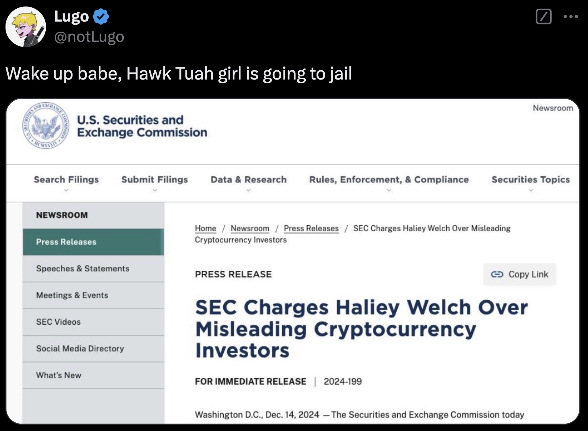 screenshot - Lugo Wake up babe, Hawk Tuah girl is going to jail Curities And Ness Mcmxx Change Come U.S. Securities and Exchange Commission Search Filings Submit Filings Newsroom Press Releases ... Newsroom Data & Research Rules, Enforcement, & Compliance