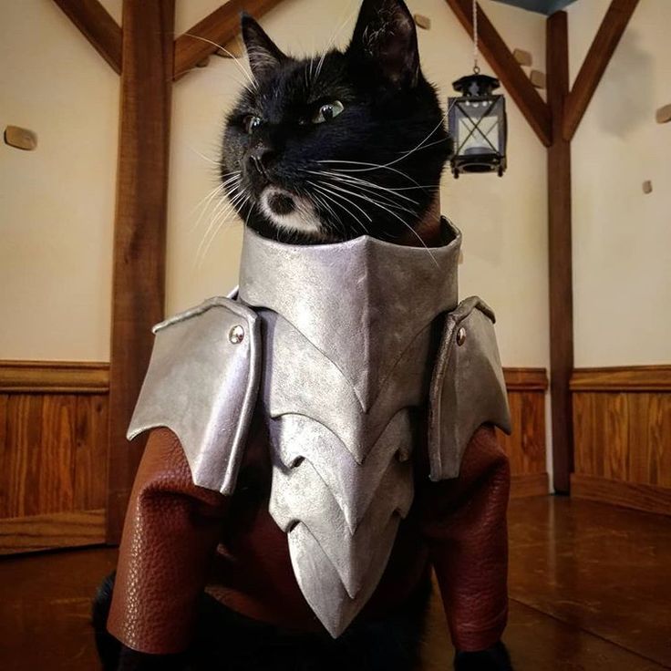 25 Animals Awaited in the Halls of Valhalla