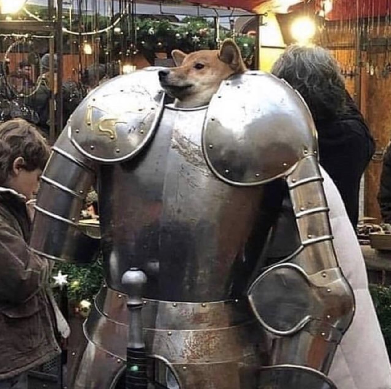 25 Animals Awaited in the Halls of Valhalla