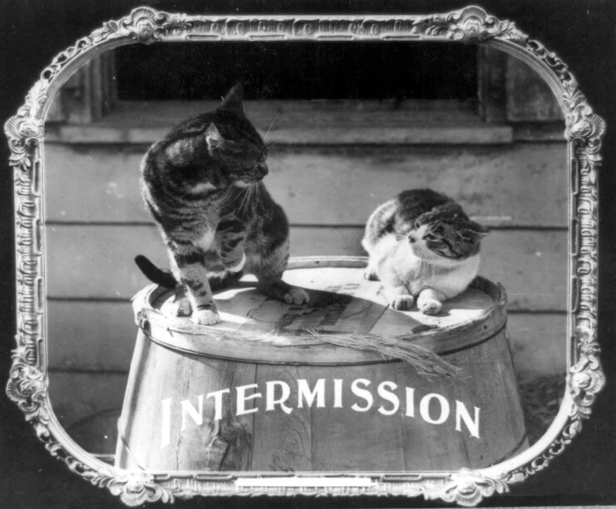 20 Etiquette Tips from Silent Movie Title Cards