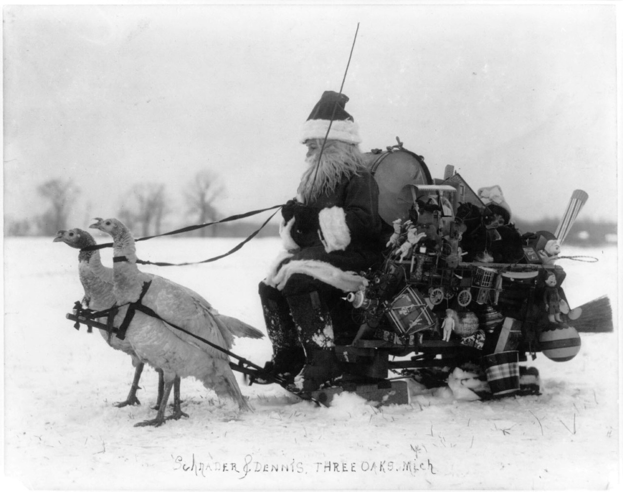 turkey sled - Schrader & Dennis. Three Oaks. Mich