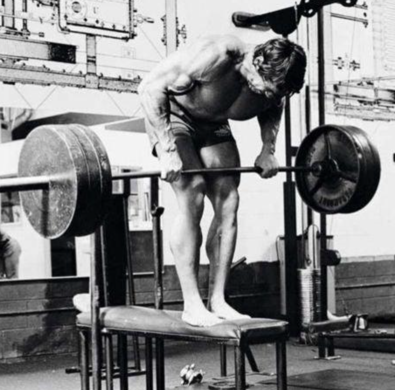 arnold schwarzenegger barbell row