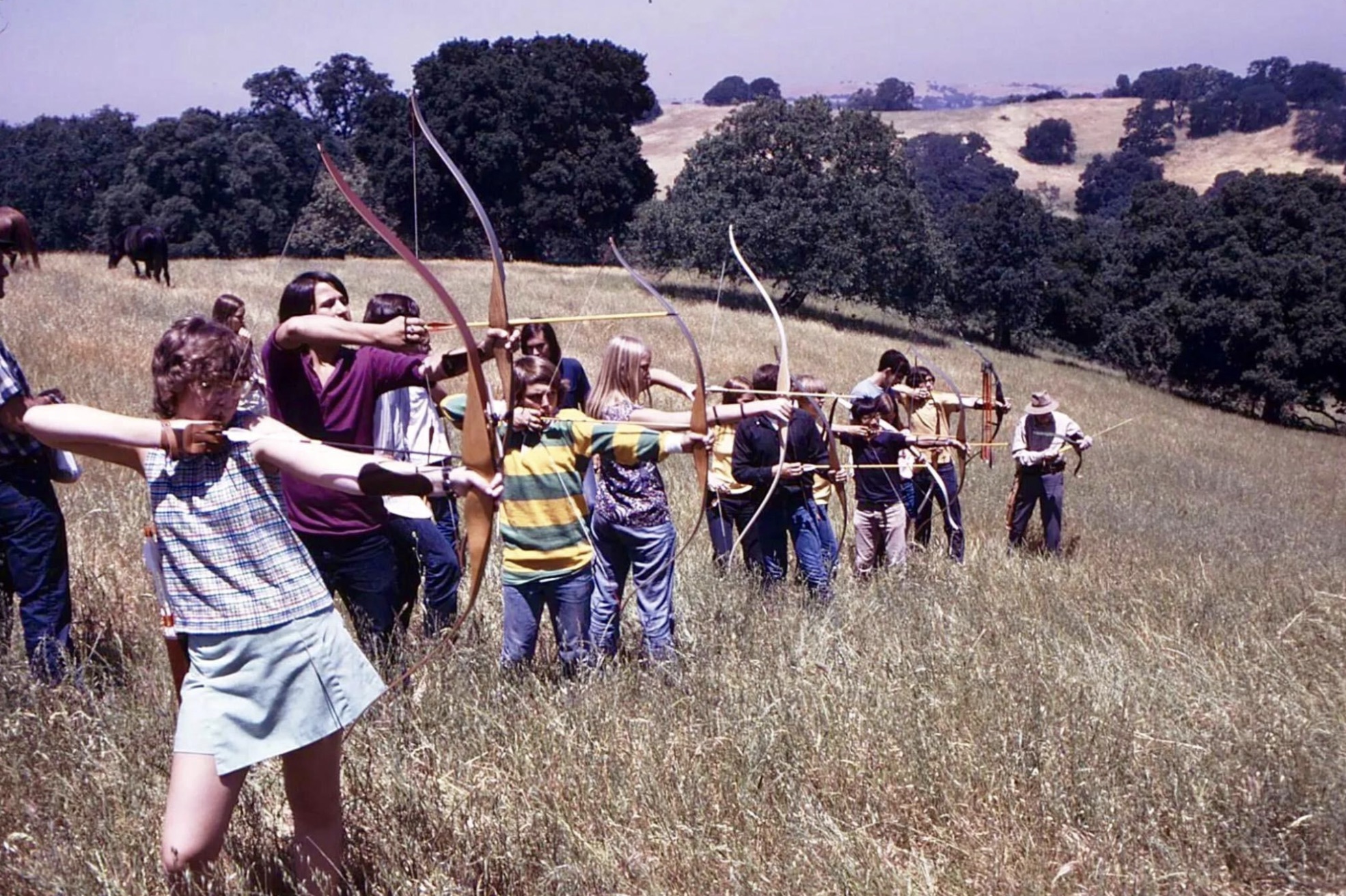 field archery