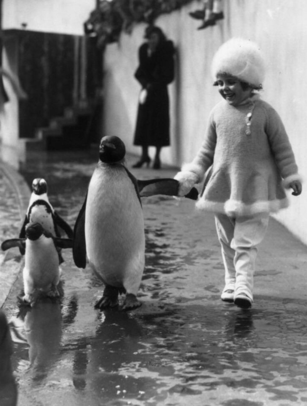 girl standing with penguin