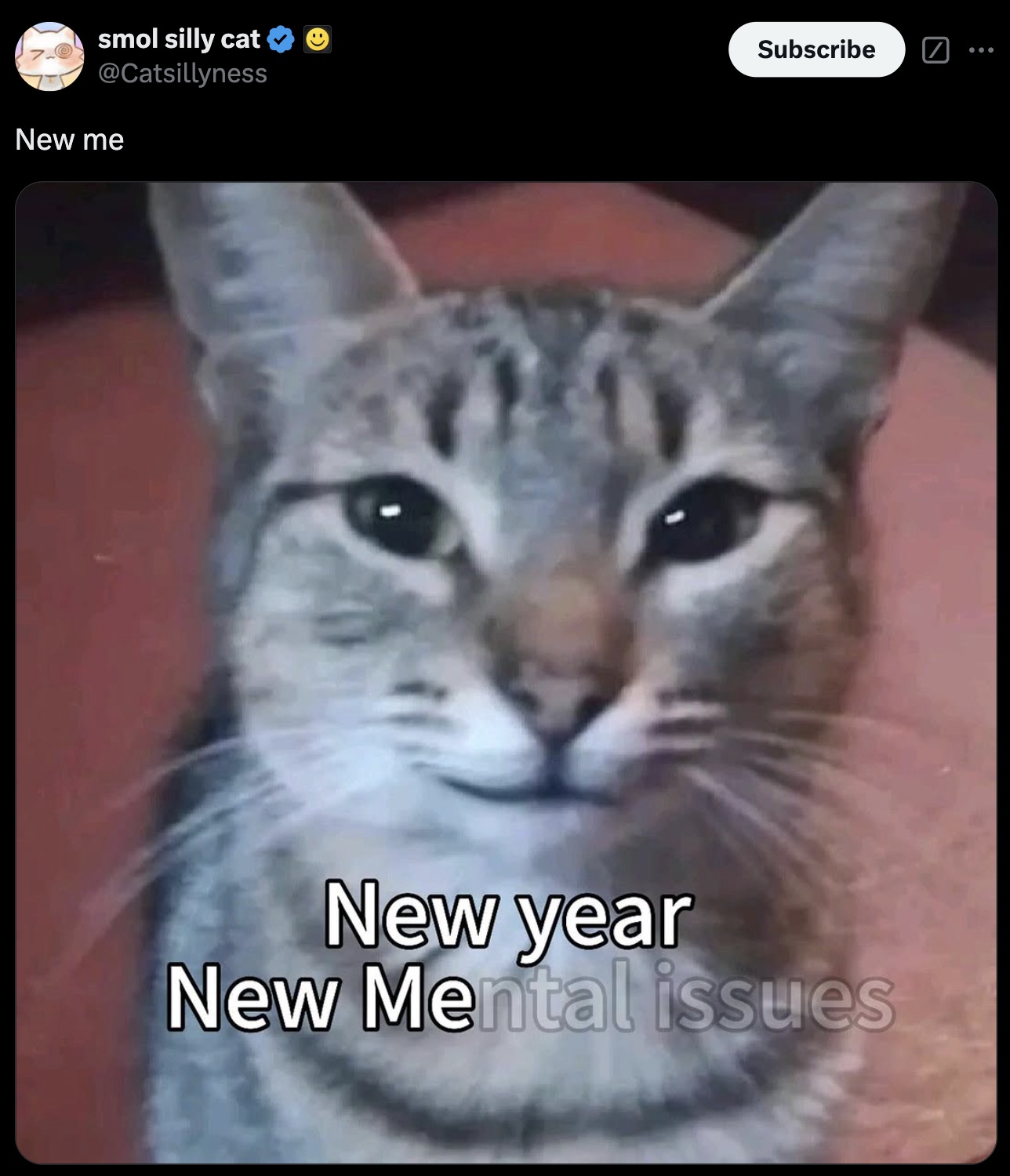 smol silly cat New me Subscribe New year New Mental issues