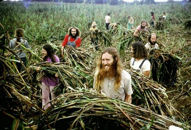 hippie communes