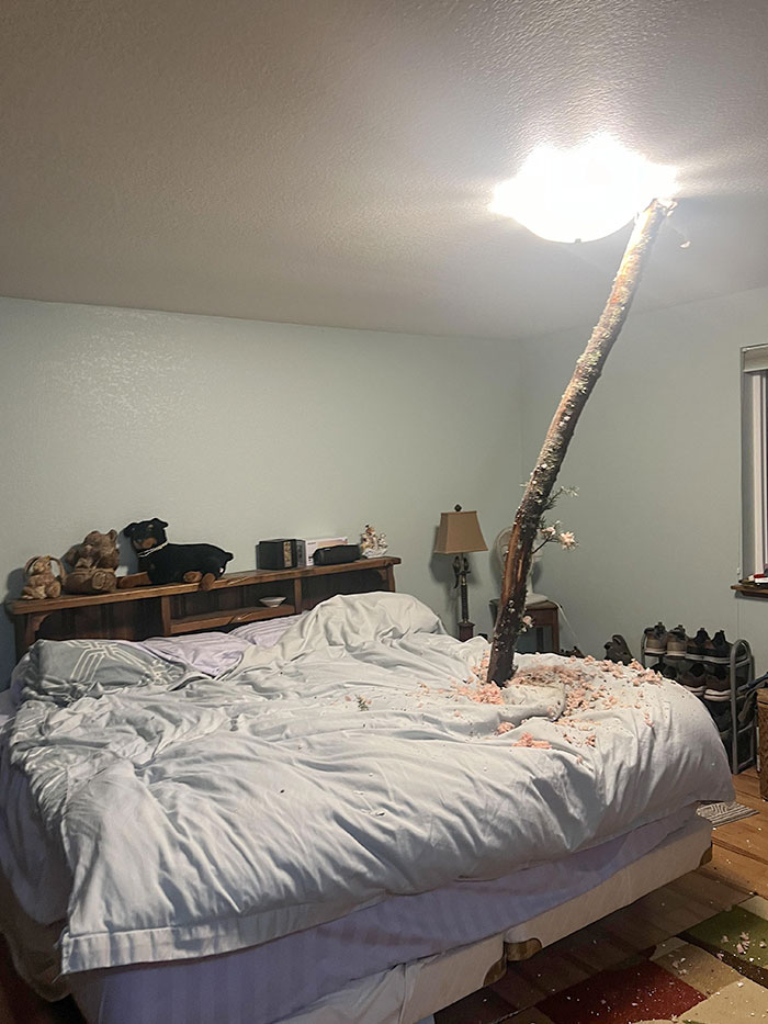 A tree limb came crashing through the ceiling as a couple slept and miraculously didn't hit either of them.