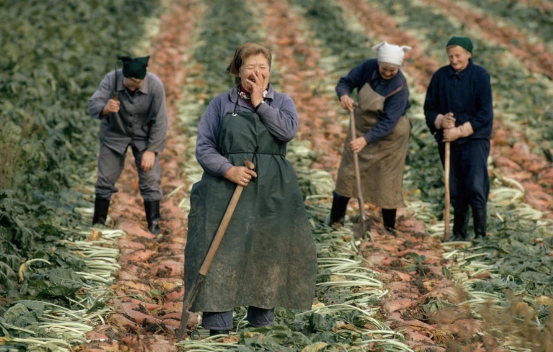 east german farmer