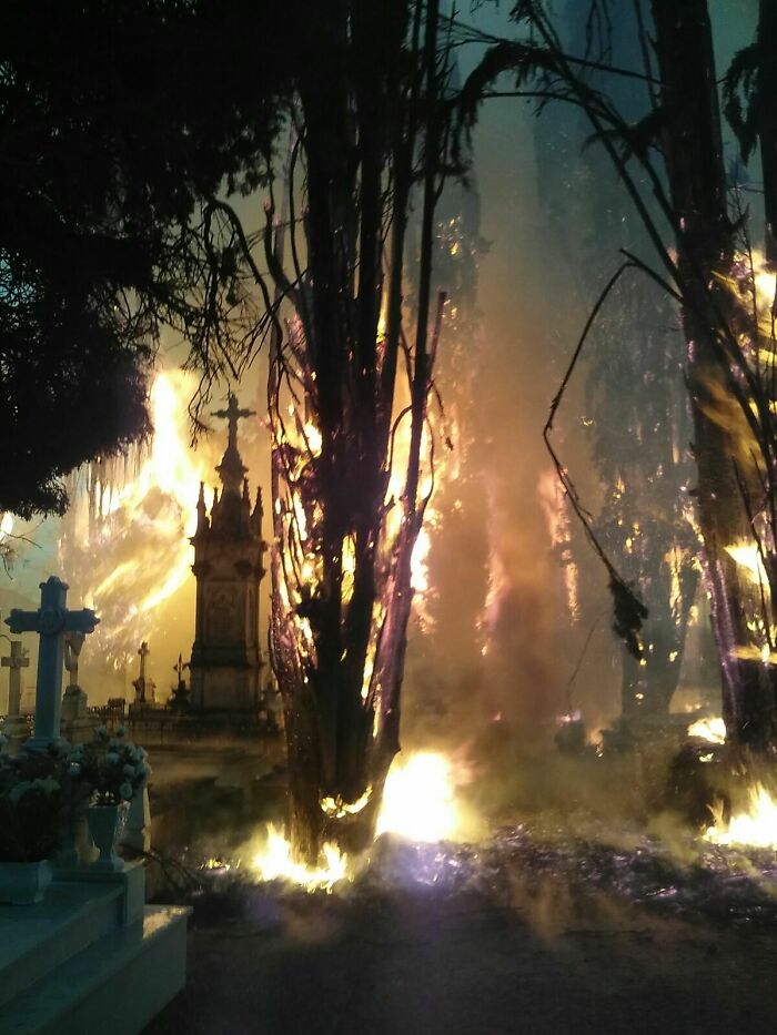 A fire in this cemetery looks like the creepiest scene of a horror movie.