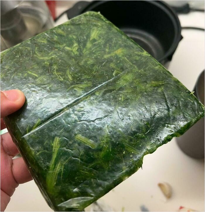 A pack of frozen spinach looks like its from a Bethesda video game.