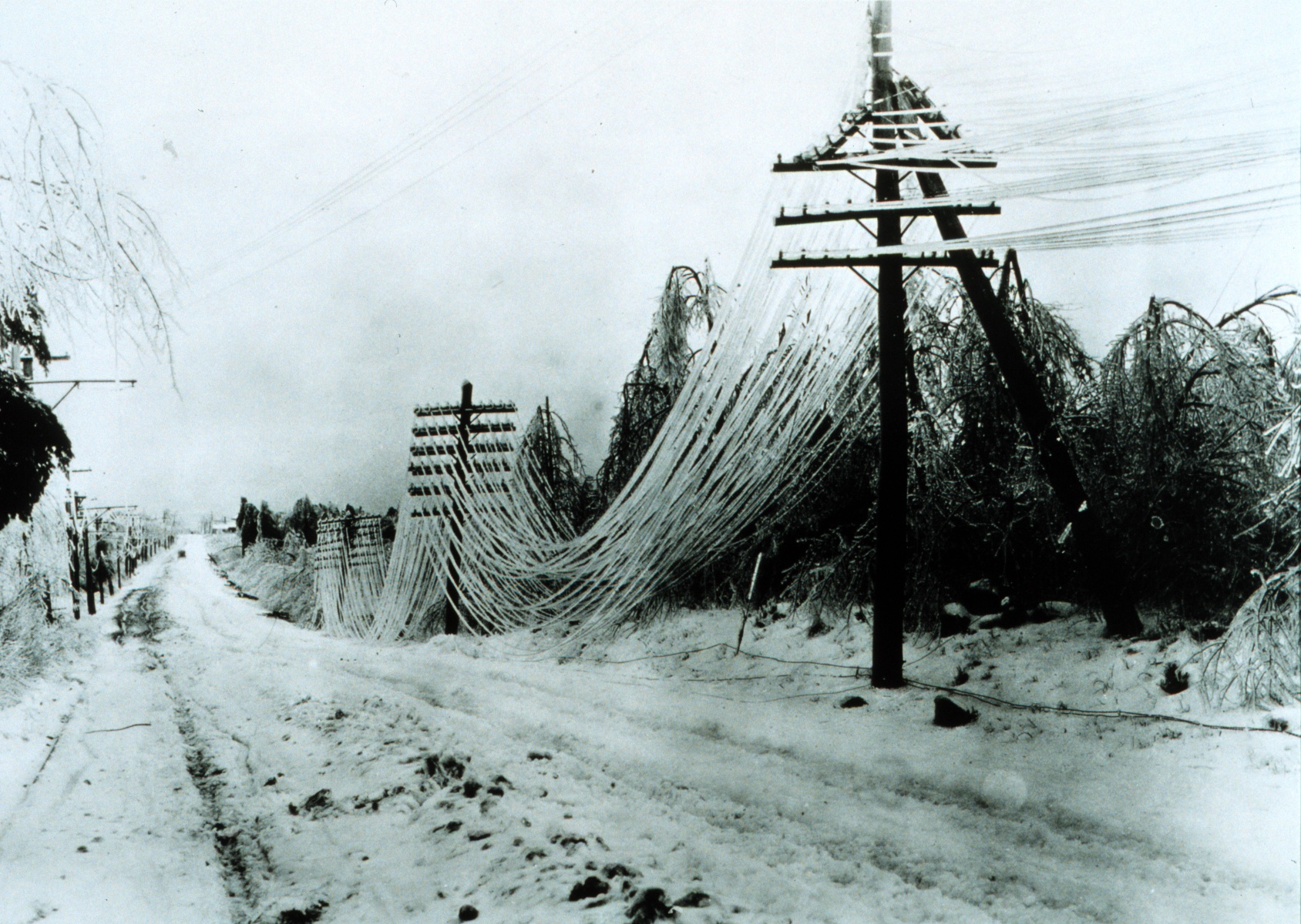 43 Ice Storms That Turned the World into a Winter Wasteland