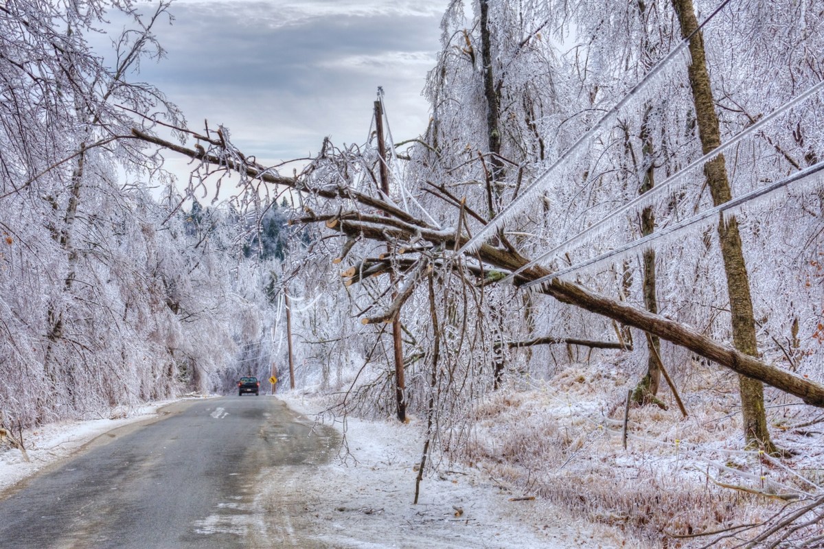 43 Ice Storms That Turned the World into a Winter Wasteland