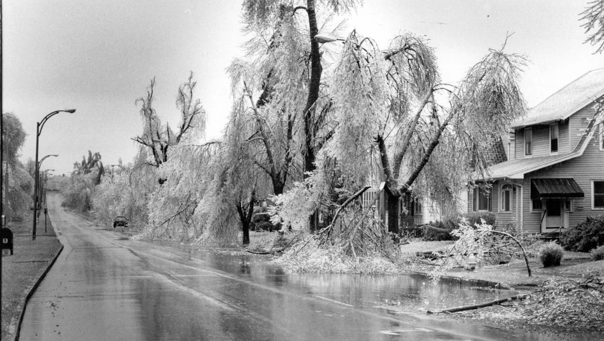 43 Ice Storms That Turned the World into a Winter Wasteland