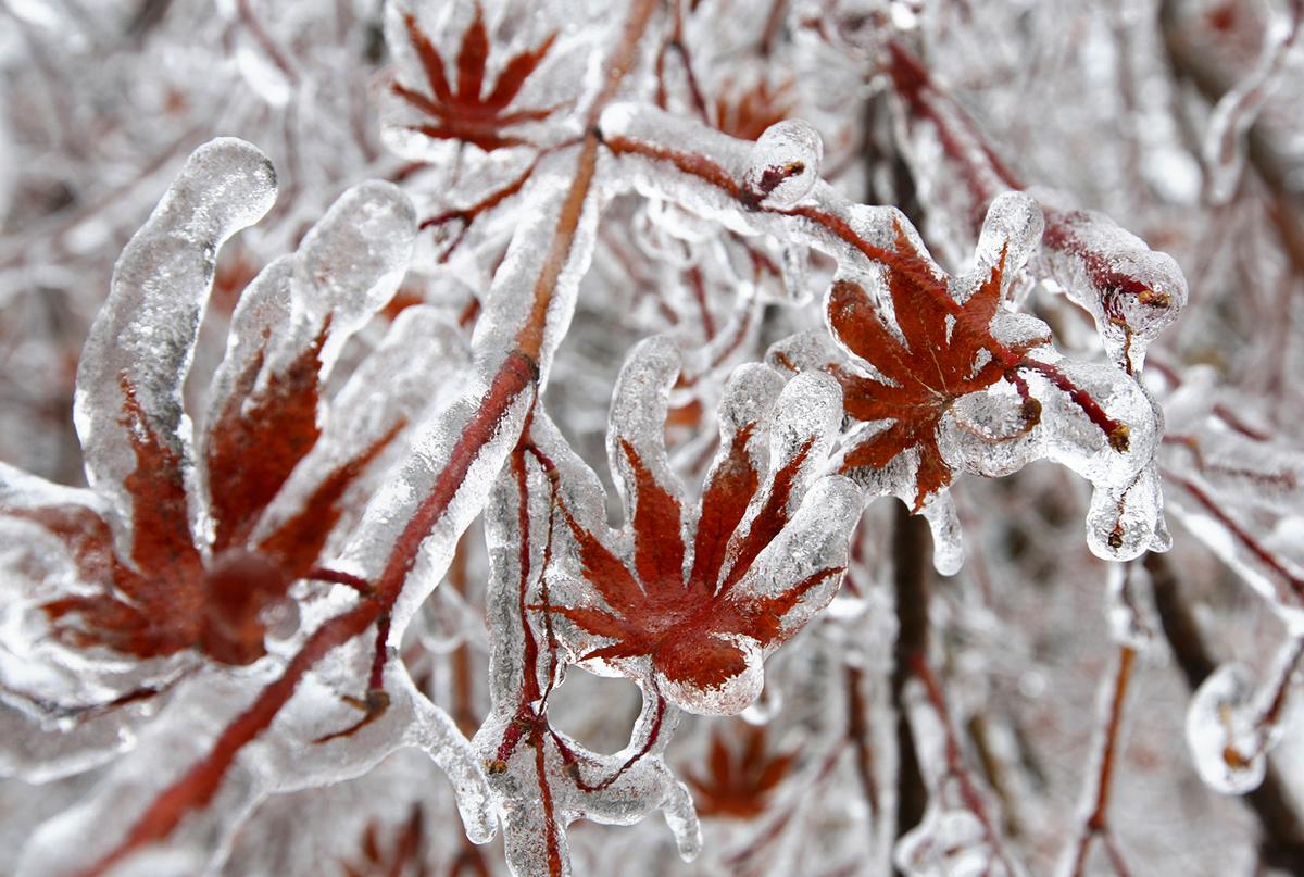 43 Ice Storms That Turned the World into a Winter Wasteland