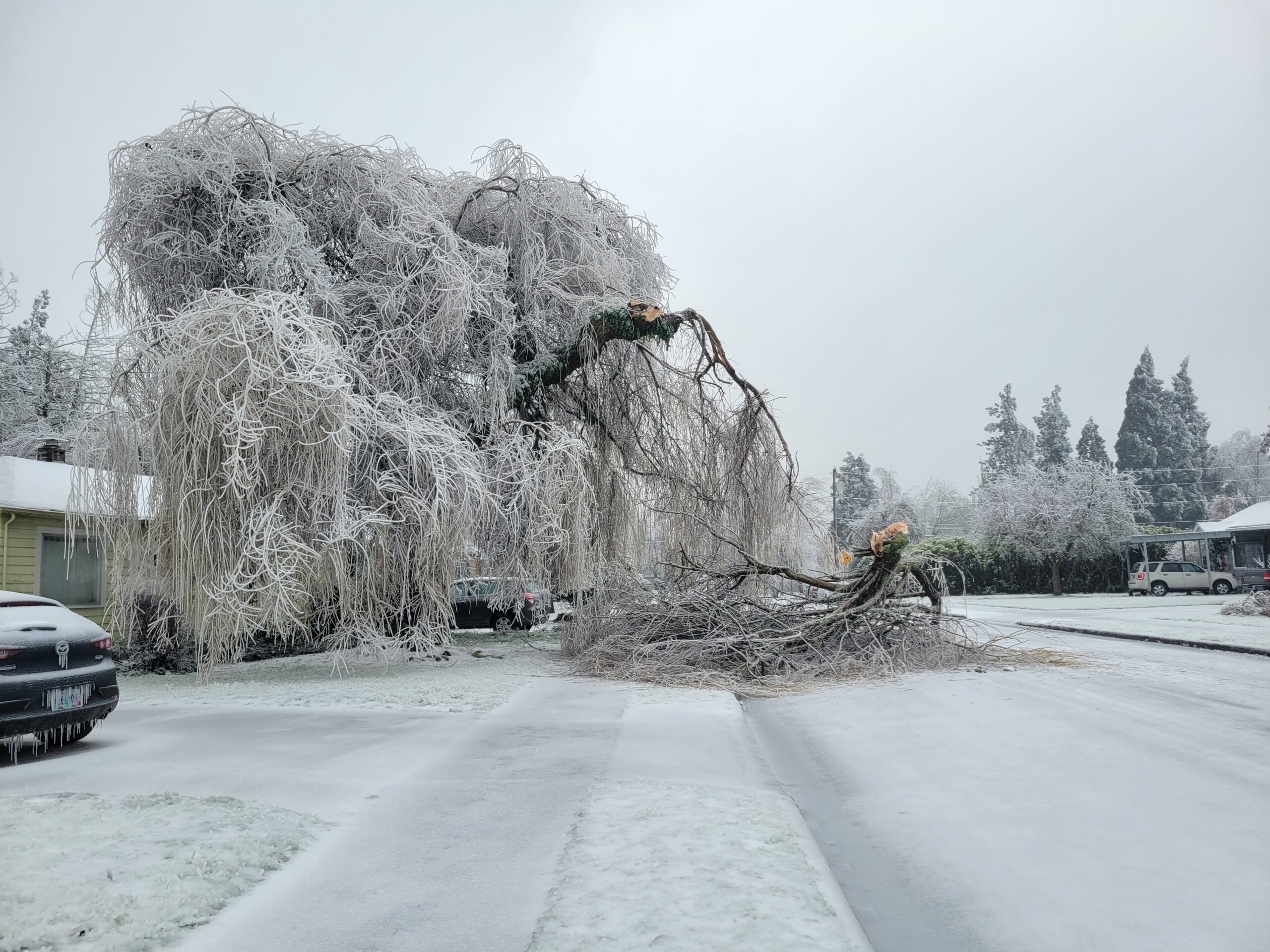 43 Ice Storms That Turned the World into a Winter Wasteland