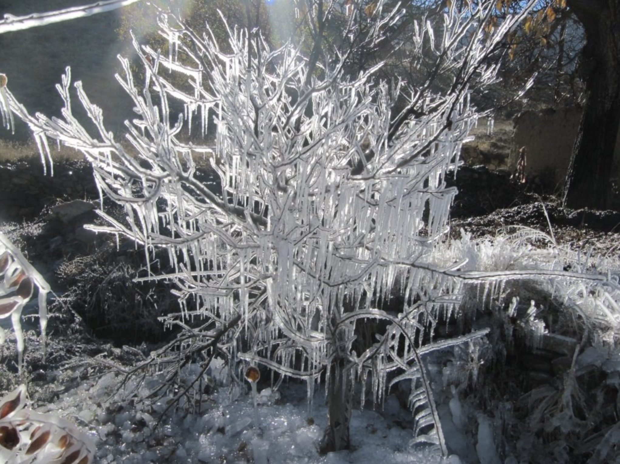 43 Ice Storms That Turned the World into a Winter Wasteland