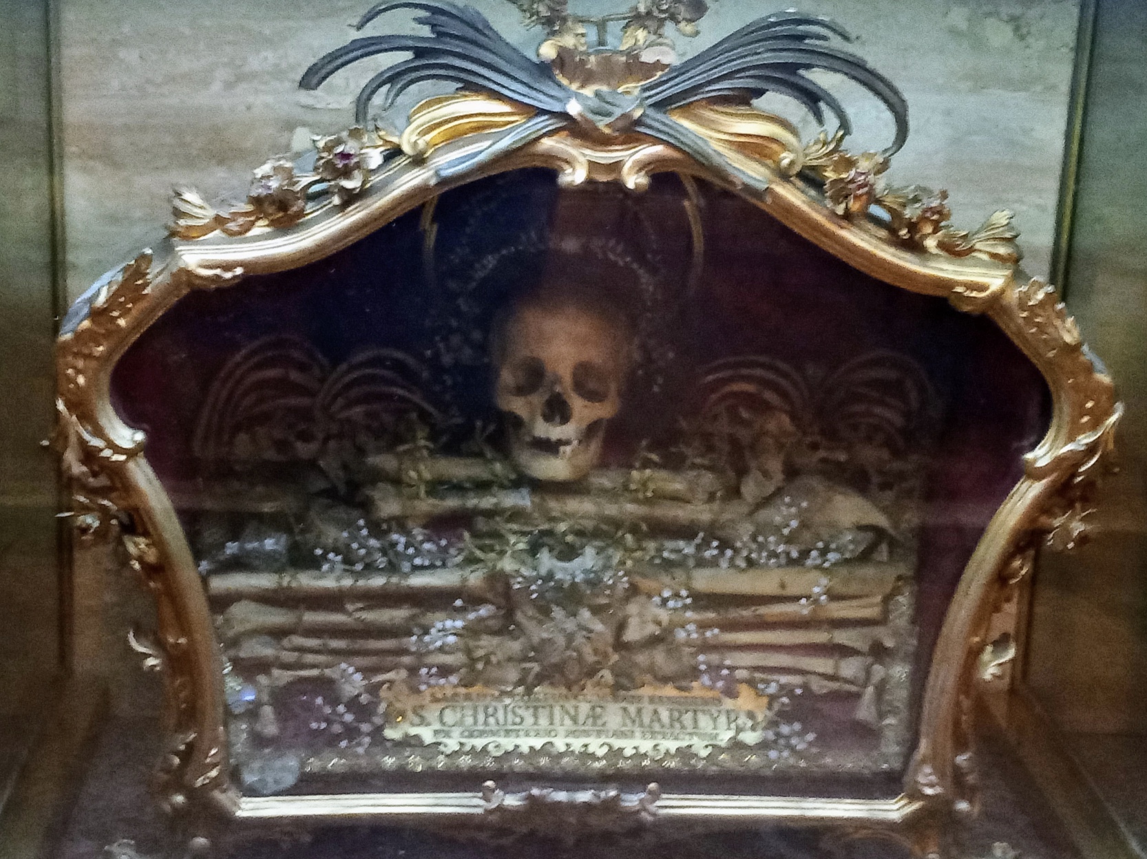 45 Holy Relics That Make Catholicism Look Like Necromancy