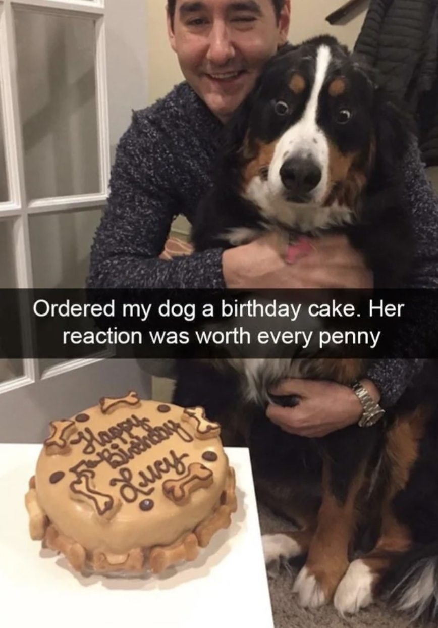 27 Dogs Who Can’t Believe It’s Their Birthday