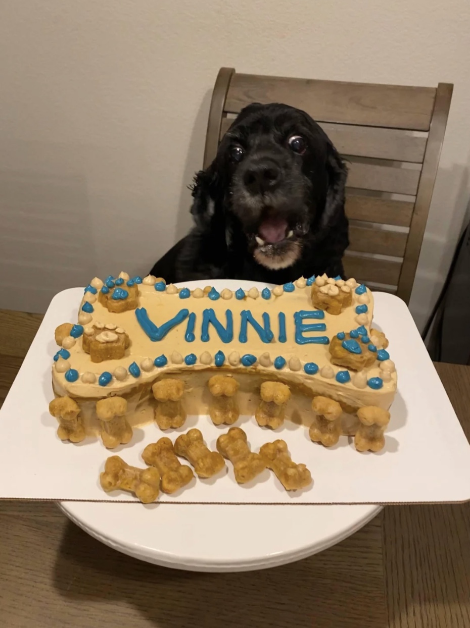 27 Dogs Who Can’t Believe It’s Their Birthday