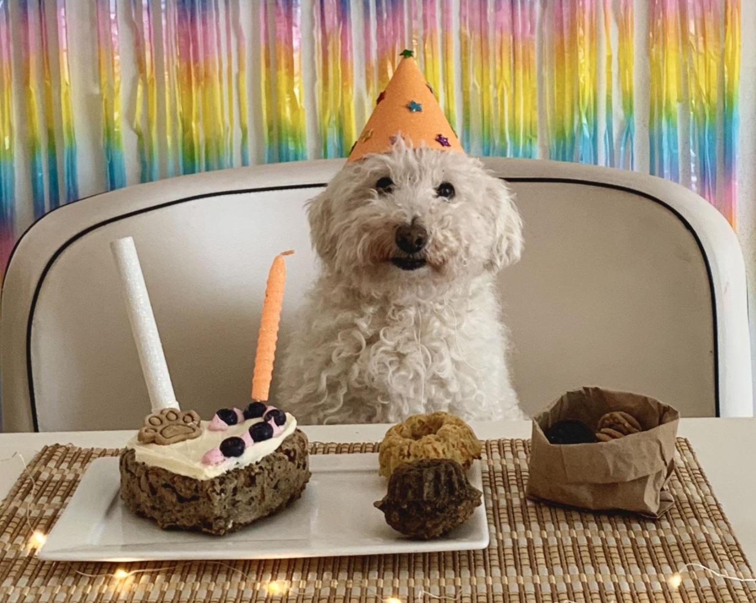 27 Dogs Who Can’t Believe It’s Their Birthday