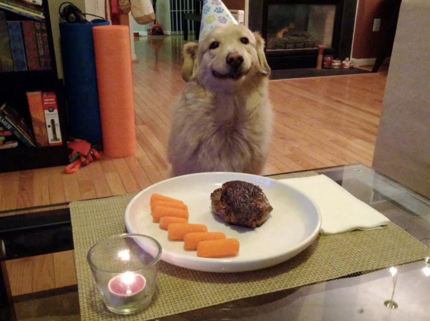 27 Dogs Who Can’t Believe It’s Their Birthday