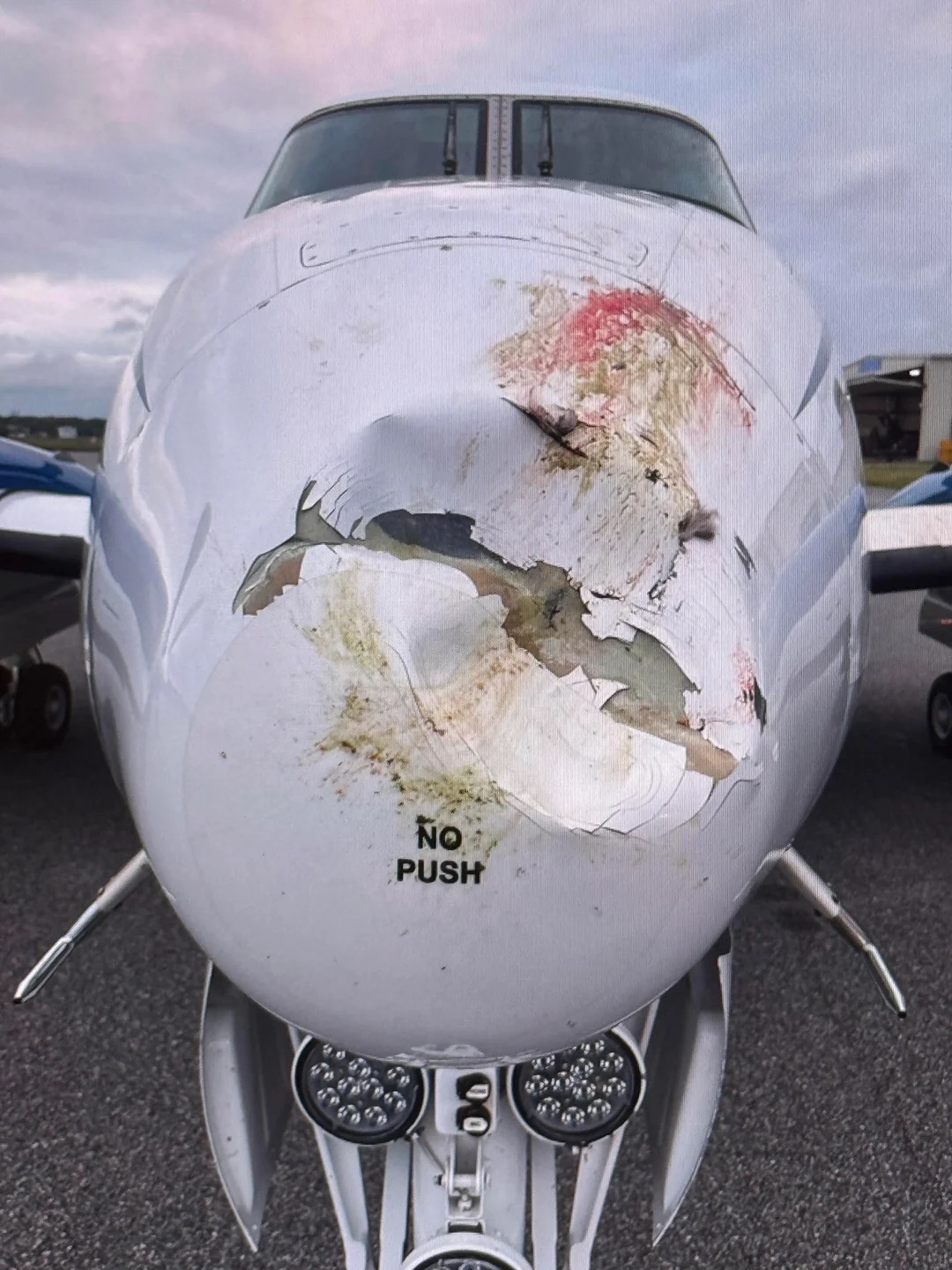 18 Bird Strike Pics That Are A BASH