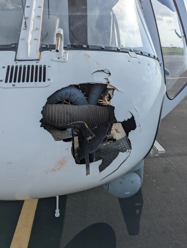 18 Bird Strike Pics That Are A BASH