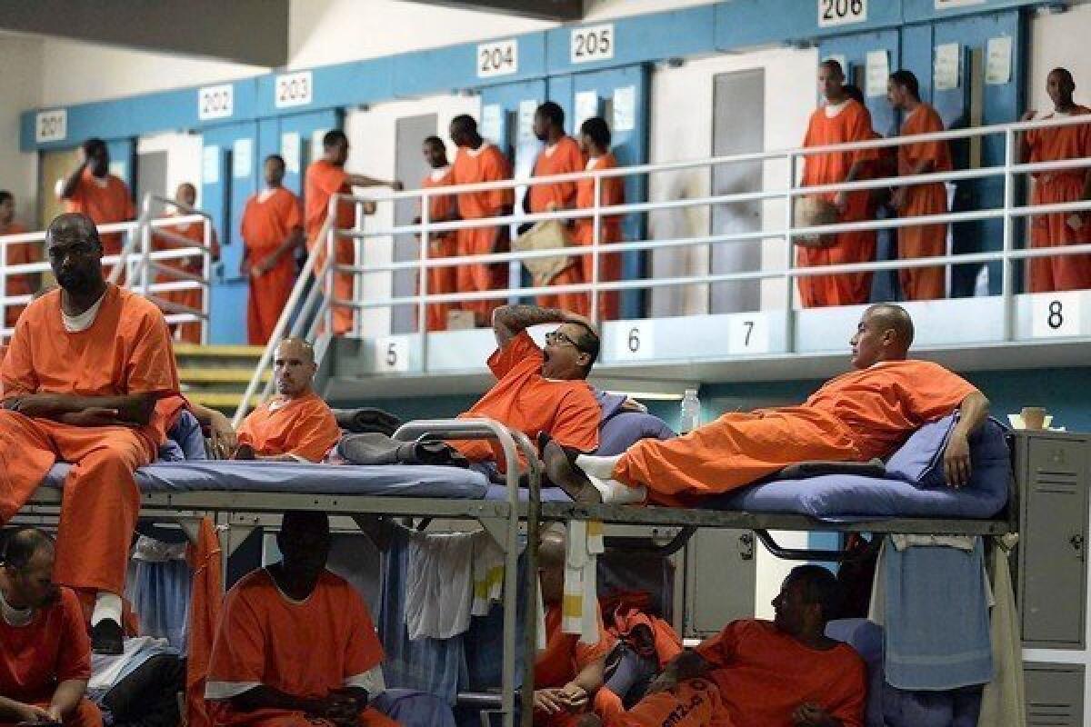 prison overcrowding - 203 204 205 206 0 00 8 7