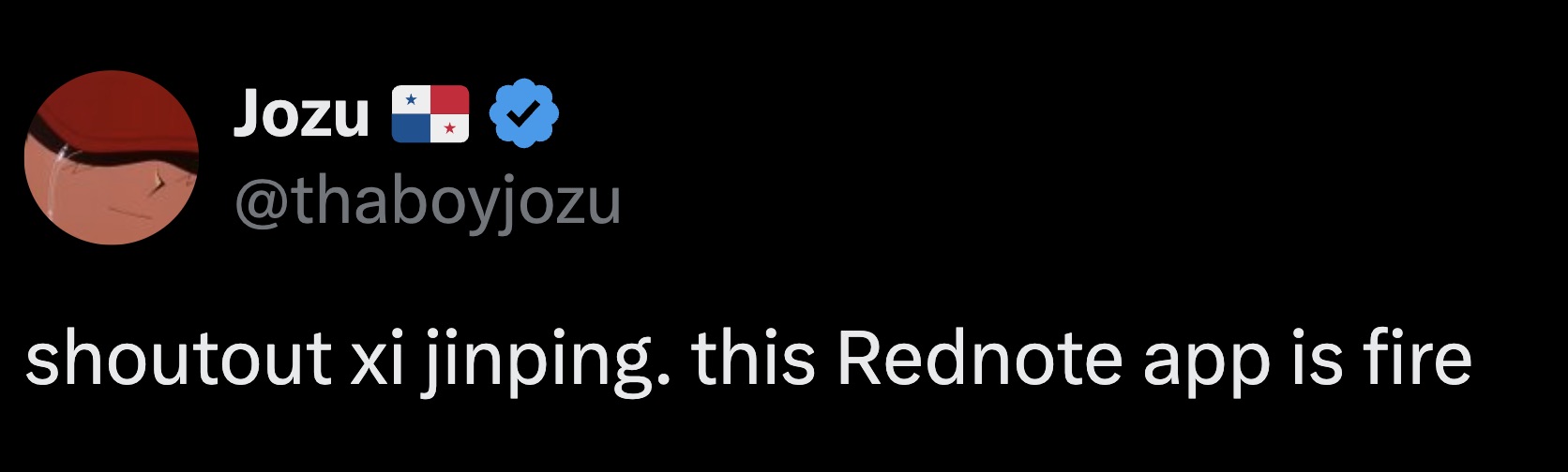 The 32 Funniest Posts and Memes from RedNote | eBaum's World