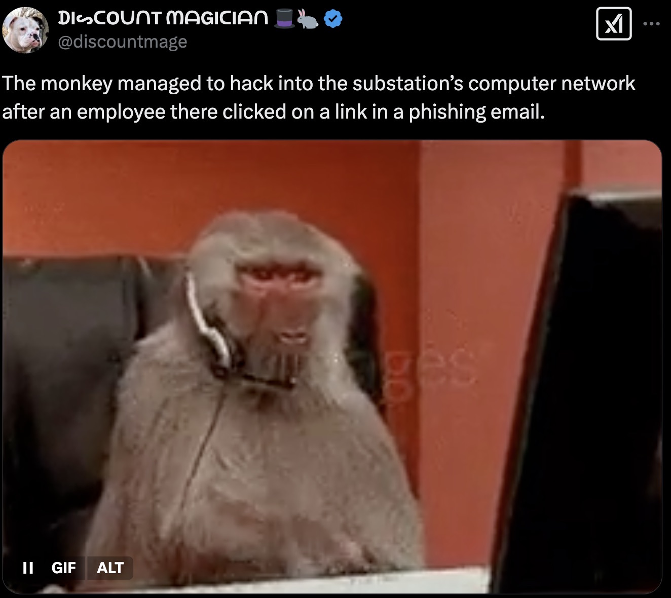 26 Tweets and Reactions to the Monkey Who Caused a Nationwide Blackout ...