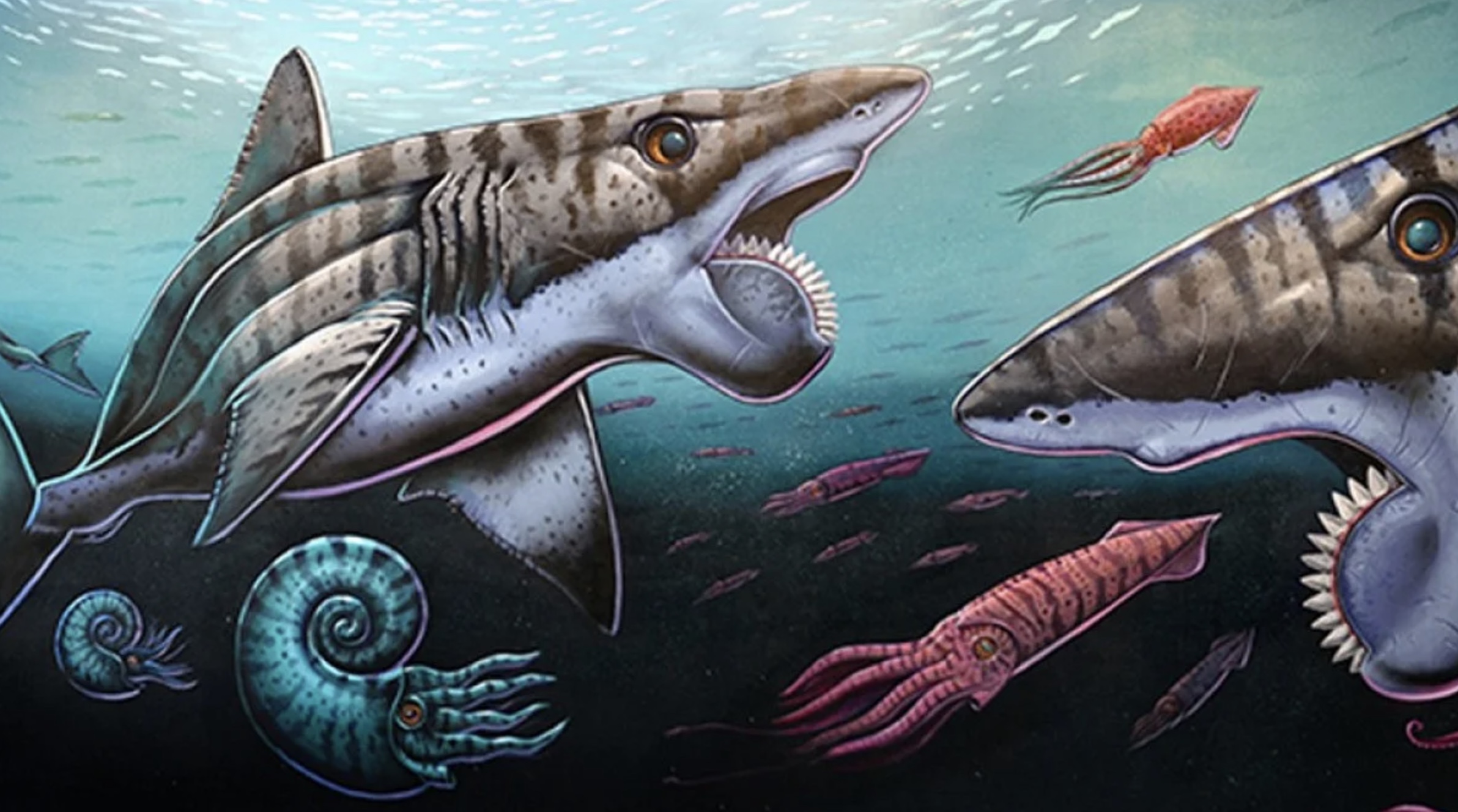 Nature's Early Known Attempts at Making Sea Creatures | eBaum's World