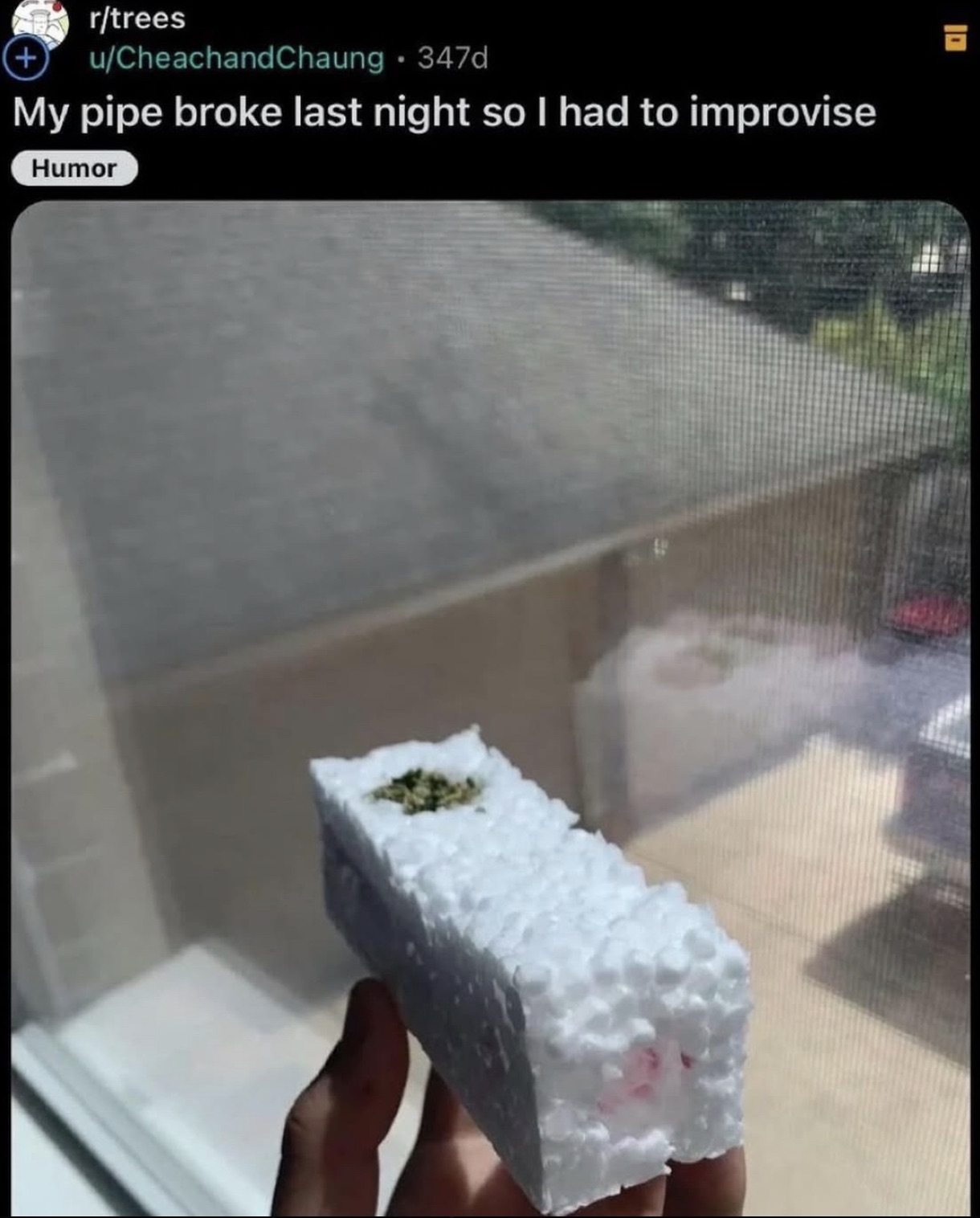 Dummest Inta Posts The 21 Dumbest Posts As Seen on the Internet | eBaum's World