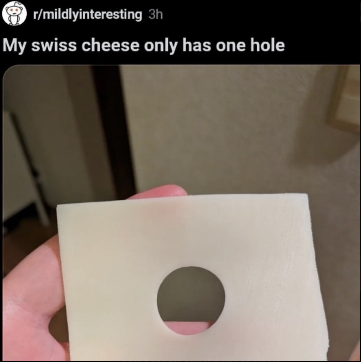Dummest Inta Posts The 21 Dumbest Posts As Seen on the Internet | eBaum's World