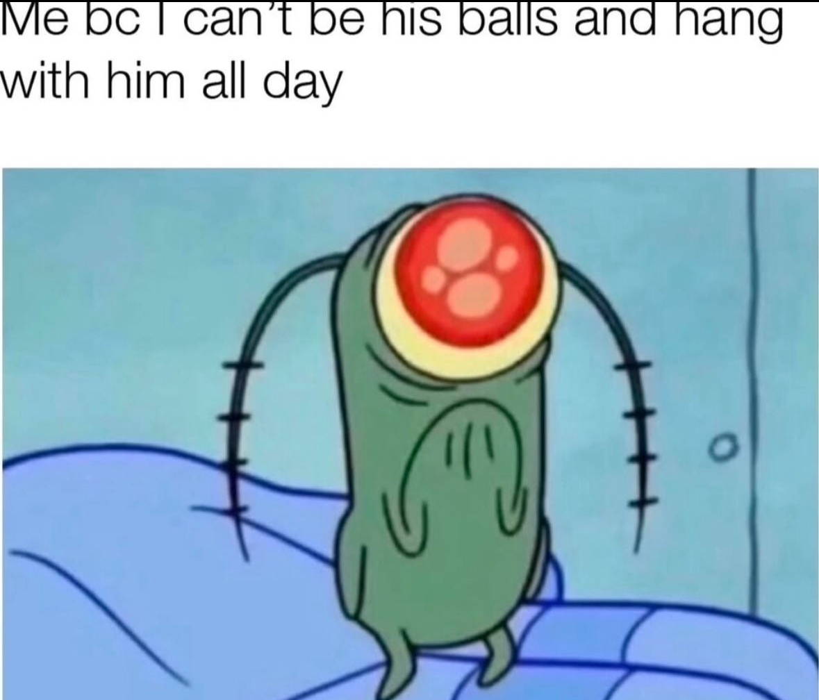 20 NSFW Memes So Hot They're Probably Illegal in Utah