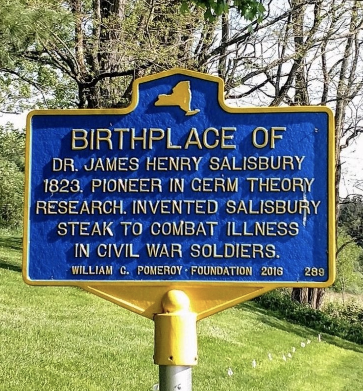 Salisbury Steak was invented to keep soldiers healthy